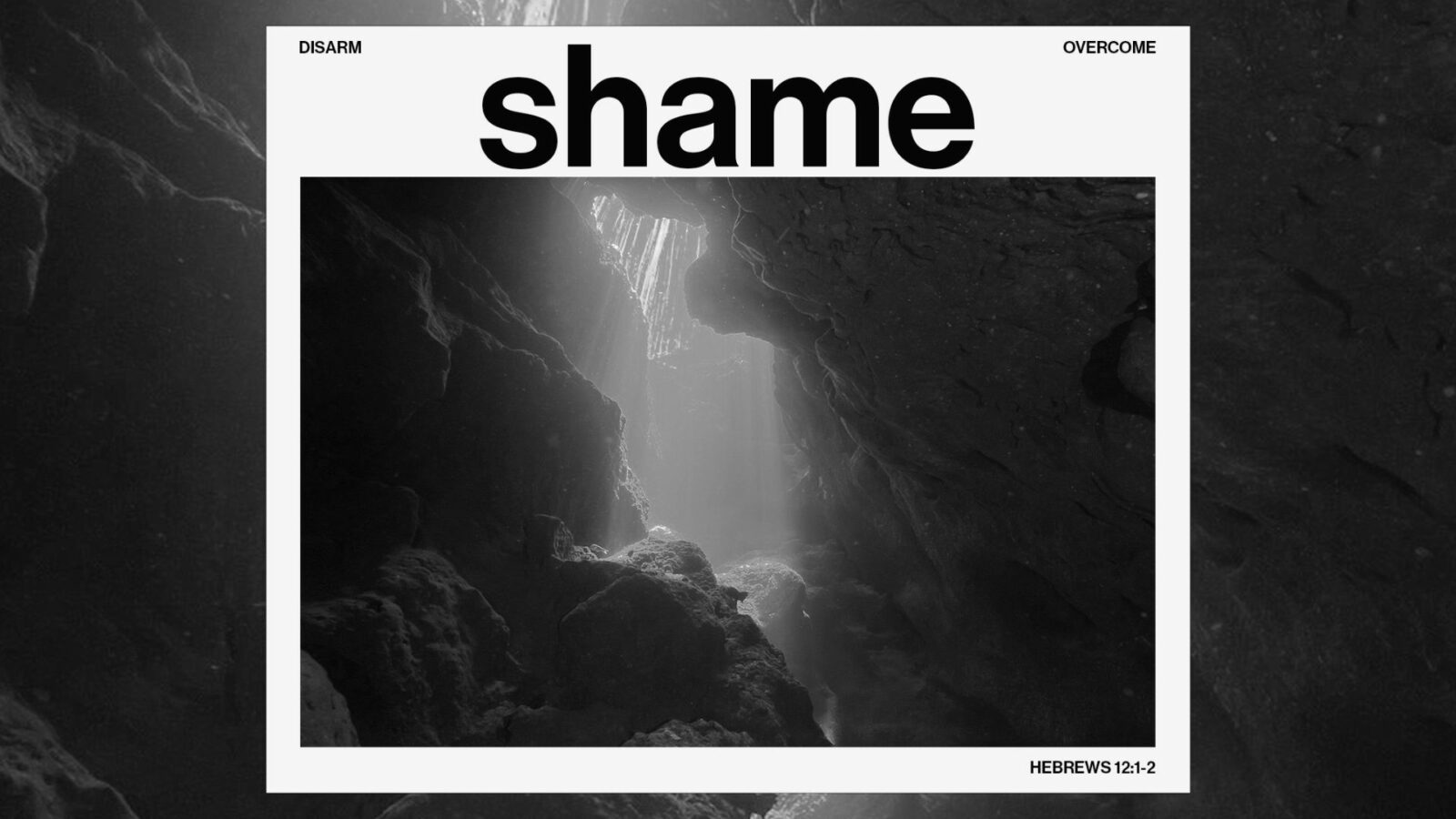 shame web (1)